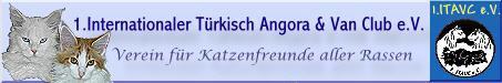Banner 1 ITAVC