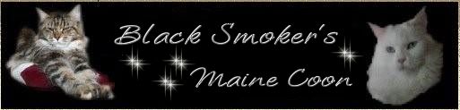Black Smoker's Banner